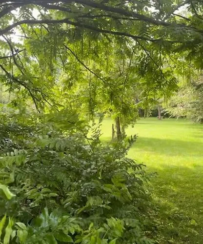 Gesamtes Historisches Kapitaenshaus *